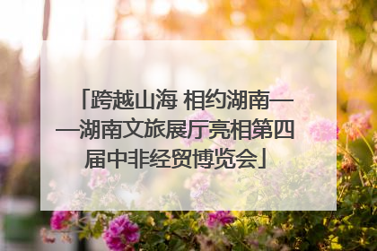 跨越山海 相约湖南——湖南文旅展厅亮相第四届中非经贸博览会
