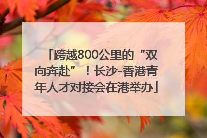 跨越800公里的“双向奔赴”！长沙-香港青年人才对接会在港举办