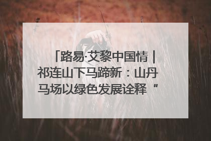 路易·艾黎中国情｜祁连山下马蹄新：山丹马场以绿色发展诠释“两山”理论实践