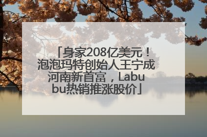 身家208亿美元！泡泡玛特创始人王宁成河南新首富，Labubu热销推涨股价