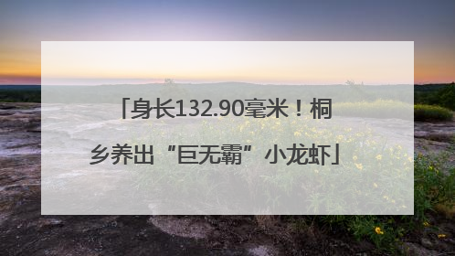 身长132.90毫米！桐乡养出“巨无霸”小龙虾