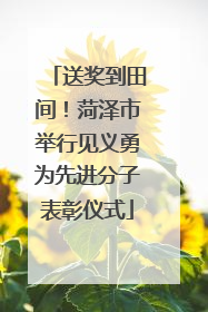送奖到田间！菏泽市举行见义勇为先进分子表彰仪式