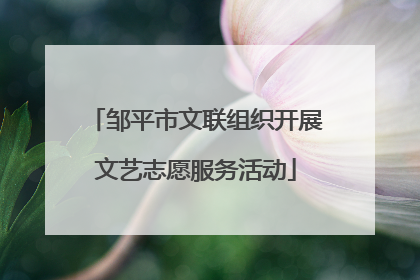 邹平市文联组织开展文艺志愿服务活动
