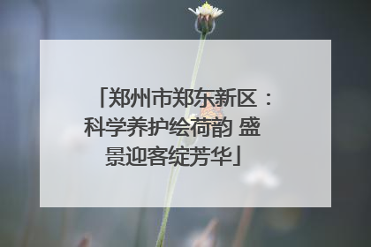 郑州市郑东新区：科学养护绘荷韵 盛景迎客绽芳华