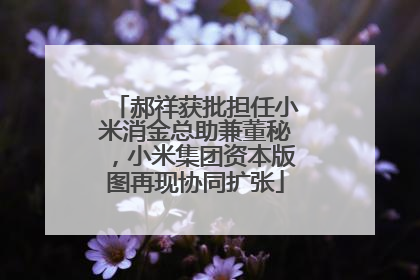 郝祥获批担任小米消金总助兼董秘，小米集团资本版图再现协同扩张