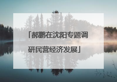 郝鹏在沈阳专题调研民营经济发展