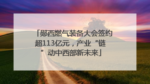 郧西燃气装备大会签约超113亿元，产业“链”动中西部新未来