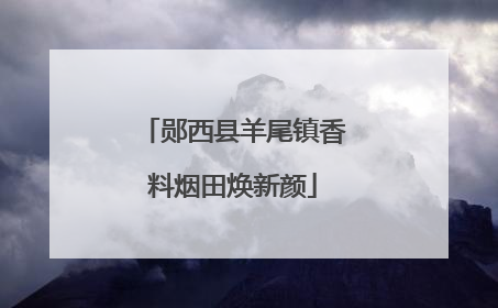 郧西县羊尾镇香料烟田焕新颜