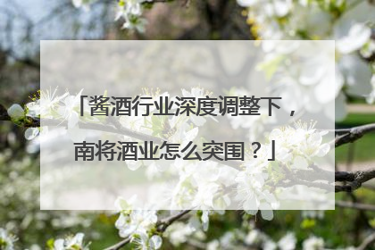 酱酒行业深度调整下，南将酒业怎么突围？