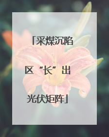 采煤沉陷区“长”出光伏矩阵