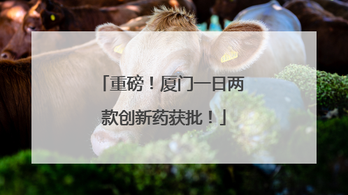 重磅！厦门一日两款创新药获批！