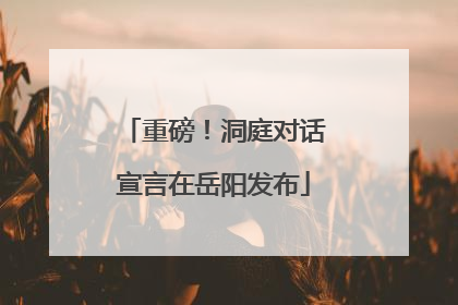 重磅！洞庭对话宣言在岳阳发布