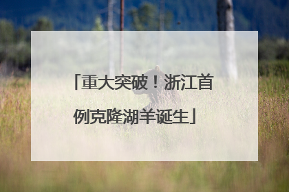 重大突破！浙江首例克隆湖羊诞生