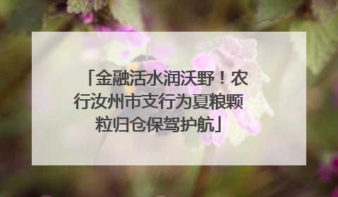 金融活水润沃野！农行汝州市支行为夏粮颗粒归仓保驾护航