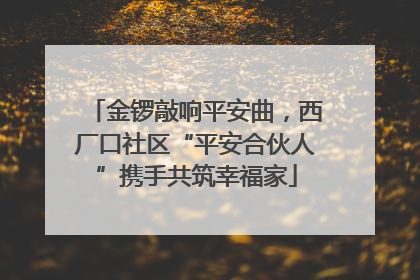 金锣敲响平安曲，西厂口社区“平安合伙人”携手共筑幸福家