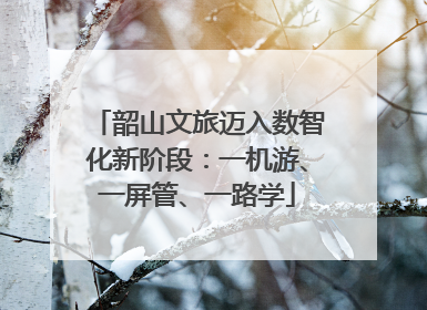 韶山文旅迈入数智化新阶段：一机游、一屏管、一路学