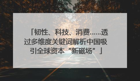 韧性、科技、消费……透过多维度关键词解析中国吸引全球资本“新磁场”