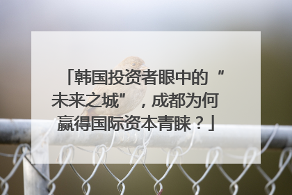 韩国投资者眼中的“未来之城”，成都为何赢得国际资本青睐？