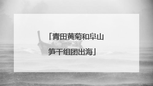 青田黄菊和阜山笋干组团出海