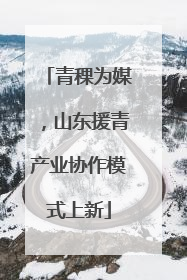 青稞为媒，山东援青产业协作模式上新