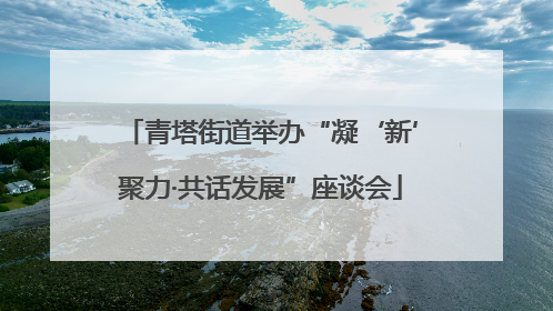 青塔街道举办“凝‘新’聚力·共话发展”座谈会
