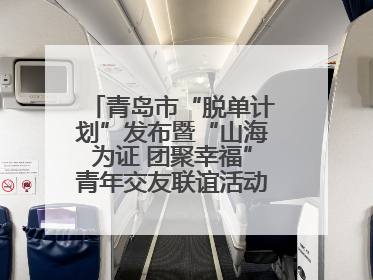 青岛市“脱单计划”发布暨“山海为证 团聚幸福”青年交友联谊活动浪漫开启