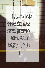 青岛市审计局立足经济监督定位 加快发展新质生产力
