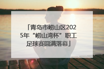青岛市崂山区2025年“崂山湾杯”职工足球赛圆满落幕