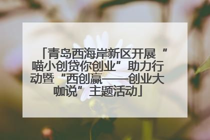 青岛西海岸新区开展“喵小创贷你创业”助力行动暨“西创赢——创业大咖说”主题活动