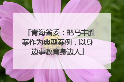 青海省委：把马丰胜案作为典型案例，以身边事教育身边人