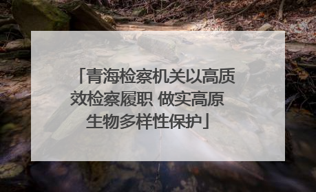 青海检察机关以高质效检察履职 做实高原生物多样性保护