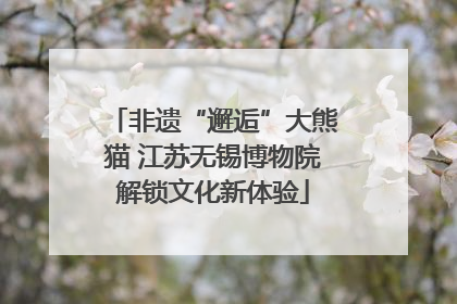 非遗“邂逅”大熊猫 江苏无锡博物院解锁文化新体验