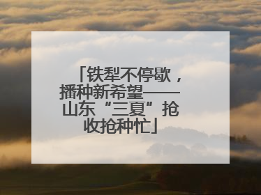 铁犁不停歇，播种新希望——山东“三夏”抢收抢种忙