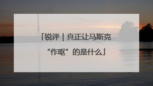 锐评｜真正让马斯克“作呕”的是什么