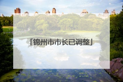 锦州市市长已调整