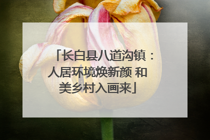 长白县八道沟镇：人居环境焕新颜 和美乡村入画来