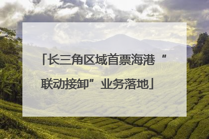 长三角区域首票海港“联动接卸”业务落地