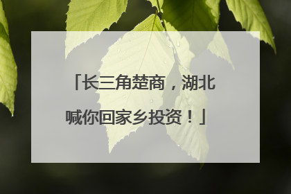 长三角楚商，湖北喊你回家乡投资！