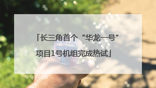 长三角首个“华龙一号”项目1号机组完成热试