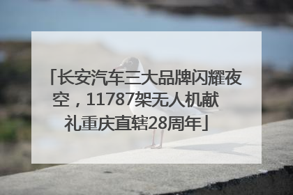 长安汽车三大品牌闪耀夜空，11787架无人机献礼重庆直辖28周年