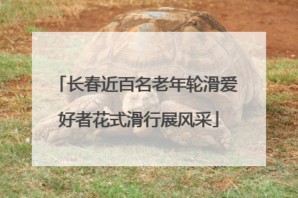 长春近百名老年轮滑爱好者花式滑行展风采