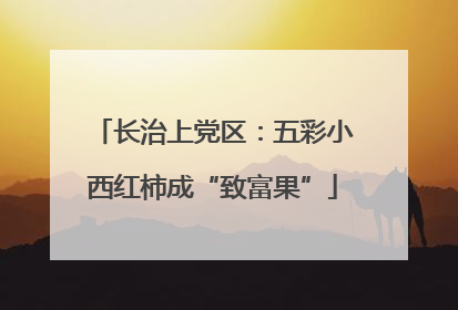 长治上党区：五彩小西红柿成“致富果”