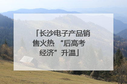 长沙电子产品销售火热 “后高考经济”升温
