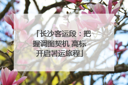 长沙客运段：把握调图契机 高标开启暑运旅程