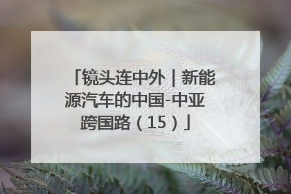 镜头连中外｜新能源汽车的中国-中亚跨国路（15）