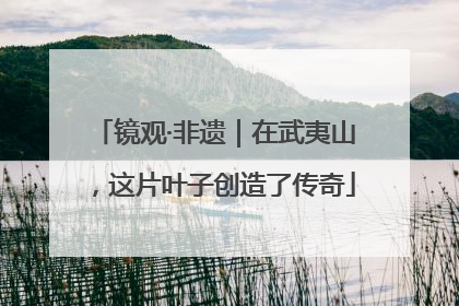 镜观·非遗｜在武夷山，这片叶子创造了传奇