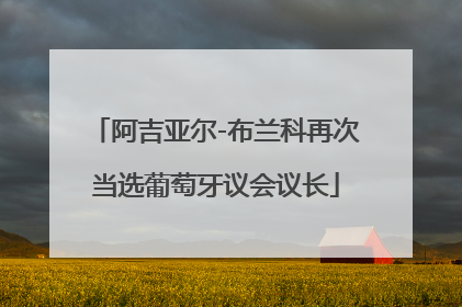 阿吉亚尔-布兰科再次当选葡萄牙议会议长