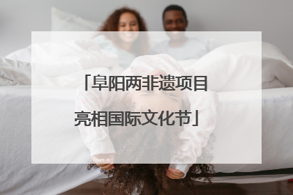 阜阳两非遗项目亮相国际文化节