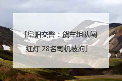 阜阳交警：货车组队闯红灯 28名司机被拘