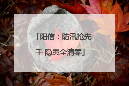 阳信：防汛抢先手 隐患全清零